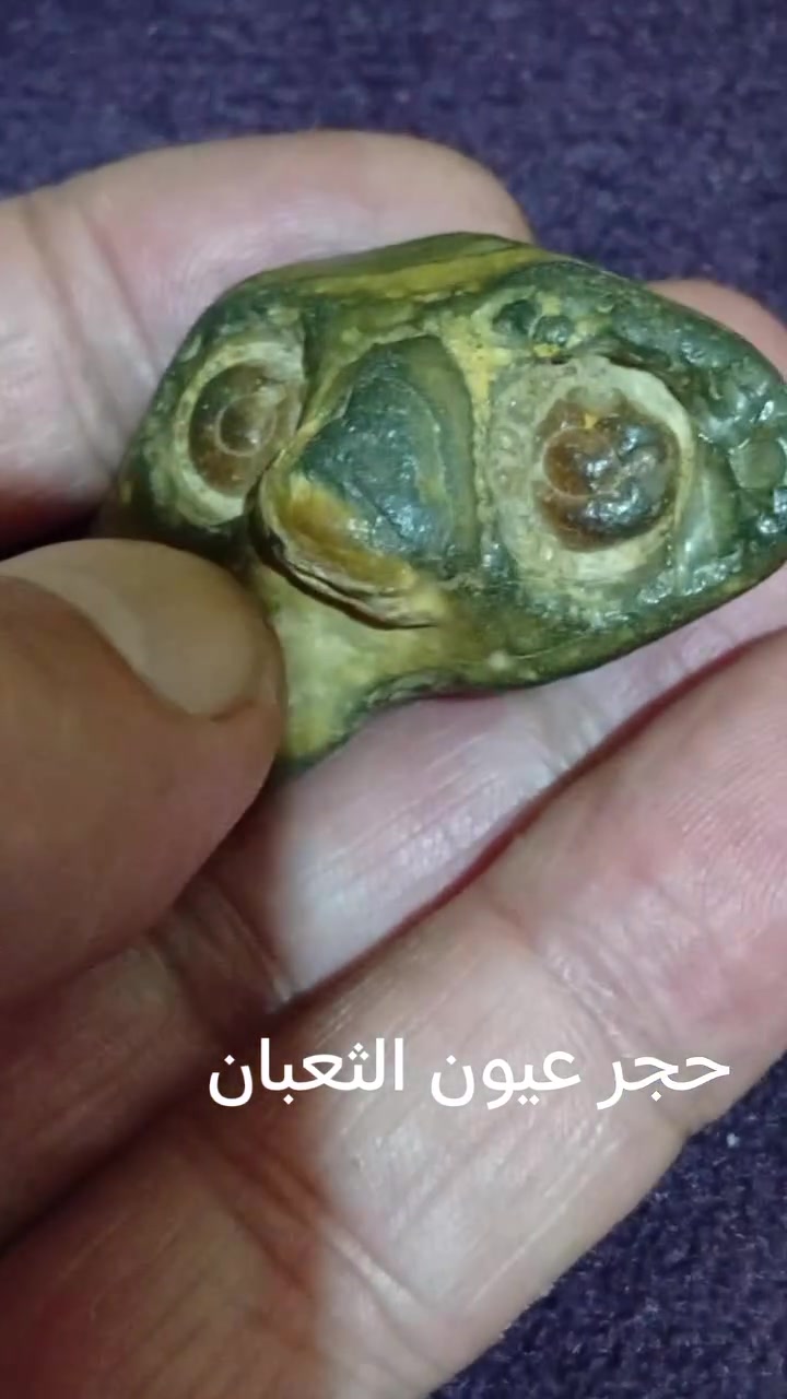 حجر عيون الثعبان


**إذا كنت صاحب هذا الإعلان وتريد حذفه لأي سبب، رجاءا أرسل رسالة إلى الدعم الفني**