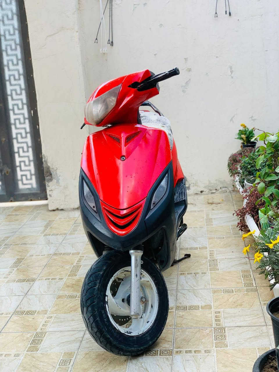 ماكس ثعلب 
شلعه ومعدل ونعومه 
السعر/275 وبيها مجال 
حله مركز المدينة 
***********
