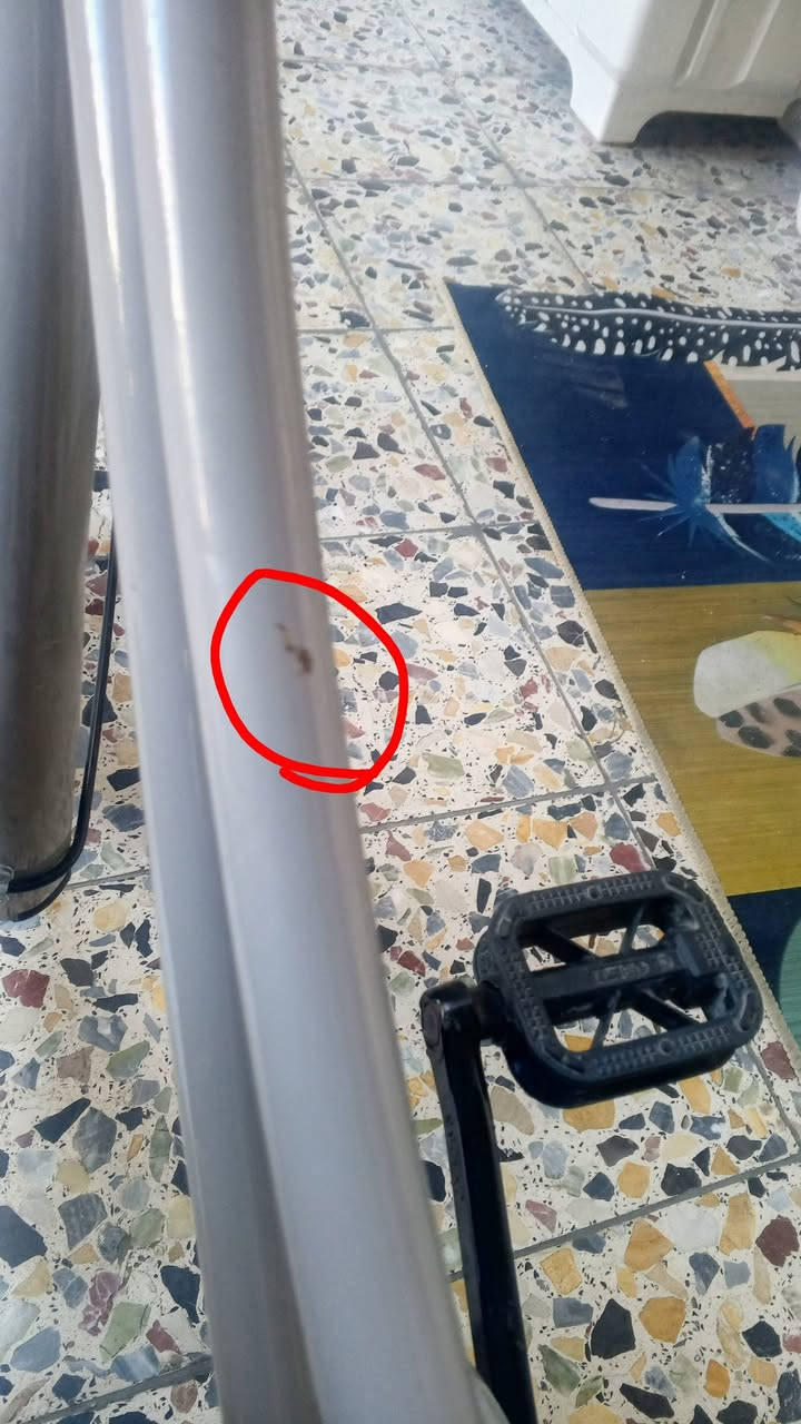 السلام عليكم شباب بيسكل بناتي موديل 2022 ضربه بالشامله مو هذا شخط بايسكل ياباني جديدا ما مستخدم هواي بالعافيه اللي ياخذه المكان بغداد مدينه الصدر والبايسكل كله مختم وهاي الضربه والشقه اجن اجينا من الحاوي بايسكل مو عندنا متشخط ومضروب تاريخ 2026/2/4 واللي يريده يطوله خاص الخاص مفتوح 24 ساعه


**إذا كنت صاحب هذا الإعلان وتريد حذفه لأي سبب، رجاءا أرسل رسالة إلى الدعم الفني**