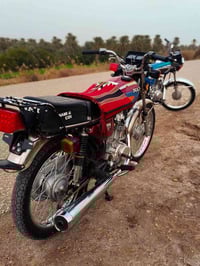 ايراني • بدون اوراق • ميسان ابو رمانه