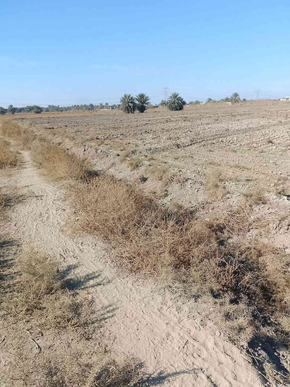 سلام عليكم عرض جديد ✨🚩
قطعه ارض المساحه 24دونم 🤠🚩للبيع 
طابو زراعي سند 25✨🌷
كلها باسم شخص واحد ✨🚩
الخدمات كلها متوفره بيها ماء وكهرباء ✨🚩
العنوان طريق السده محاويل السايدين الجديد تبعد عن الشارع العام السايدين تقريبا 600متر 🤠✨
ارض زراعيه حلوه✨🌷
وكلها محوطه بنهران ✨🚩
تنباع كلها او نص منها او مفرد ✨🚩كلشي بالك يصير دونم او دونمين حسب الي تريده يصير ✨🚩
والسعر مناسب ✨🤠
‏‪***********‬‏
اتصل او تفضل خاص✨🚩
🚩

ملاحظه شعندك دوانم للبيع تفضل خاص ✨🚩
بمنطقه الحصن او منطقه الناصريه او ابو عصافير او المسيب  او السده ‏‪***********‬‏
