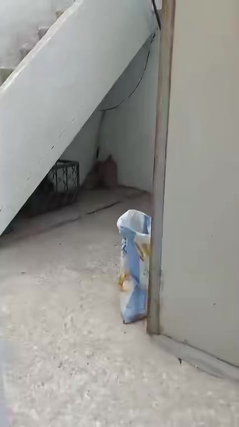 منزل طابق ثاني للايجار في الغدير مقابل محمد للمفاتيح مجاور الرشيد 2 غرفه نوم كبيرة مطبخ كبير واستقبال كبير وحمامين يصلح شركة او سكن والبيت مشطب جديد واي نقص ما بي السعر المطلوب 800 الف 
***********
