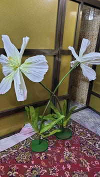 ديكور منزلي • ٣٥