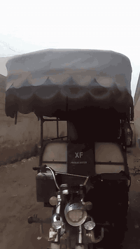 السلام عليكم محجل للبيع 75
***********
