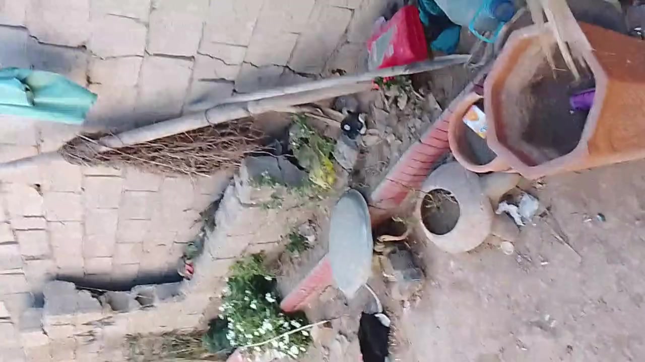 سلام عليكم بيت ب المعسكر المعروف حي فدك مساحة البيت 140متر الواجه7 نزال20 السعر 23وبي مجال الهاتف*********** متواجد ماسنجر و وتساب و تليفون
