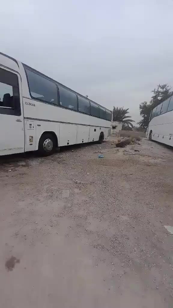 الــسـلام  عليـكـم شبـح 303 للبـيـع أو مـراوس ححـسب القـنـاعه مـوديـل 96 النـجـف ألـمانـي مـكـينه وكـيـر كـسـن حـداديـه تخـم تـايـر مكـفولات
وكـهـربأيئات كلـه شـغالـه سـيـاره نضـيفه ومـعروفـه.. 🤍
آلـمـكـان النـاصـريه 
الـسـعر ب140.
الـرقـم وألأستفـسار  

(( *********** ))
(( *********** ))
