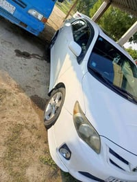 كورلا وارد امريكي • حادثة جمالية • ٢٠١٢