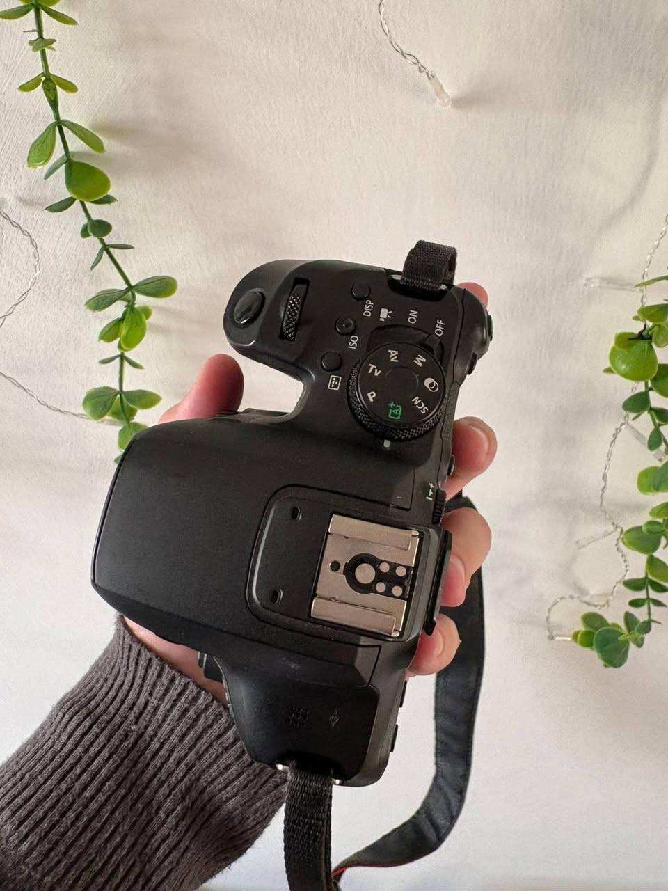 Canon 850D
مع 3 عدسات 
50mm
10-18mm
18-135mm
شاحنة مع 3 بطاريات
حقيبة
ادوات تنظيف
بطاقتين 64،32 كيكا بايت

سعر مليون 150 

الاستفسار ***********
