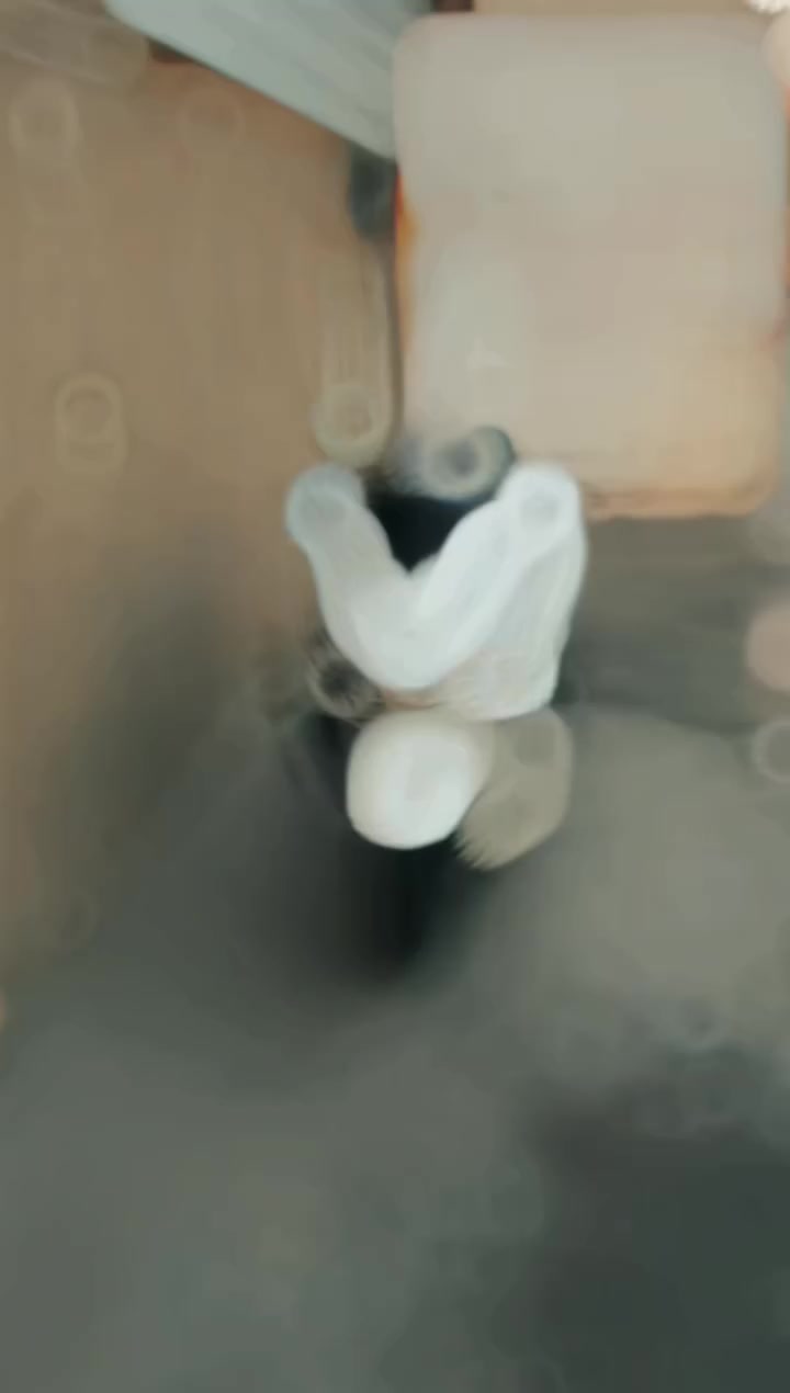 السلام عليكم بي سي اكس جيل الرابع كدامك بدون ما اكلك بل ليلون بيه ملاحضه وحده بصيطه جدن بيه درع اصلي جامع طويله اصلي وجمته البلاديه موجوده وبيه كشن رياضي وبيه تجوه وبيه هوائيات وبيه دمام وبيه وهواي شغلات دراج بل عافيه عله اليخذه السعر18وبيه مجال للشراب مستعجل عله بيعته رقم الهاتف ***********
