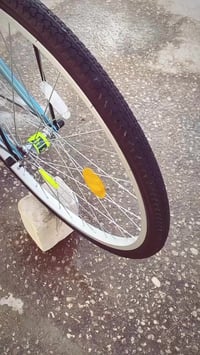 النجف • باسكل ياباني • مكفول