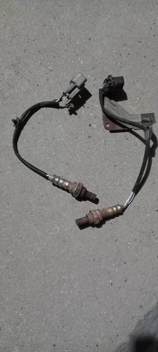 صني كوري


**إذا كنت صاحب هذا الإعلان وتريد حذفه لأي سبب، رجاءا أرسل رسالة إلى الدعم الفني**