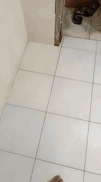 السلام عليكم ورحمة الله
خلفة مصري تطبيق سيراميك حيطان وأرضيات
شغل درجة أولى *********** ابو كندا المصري
ودا شغلي
