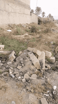 يالله اليوم عدنا قطعه للبيع مساحه ٢٠٠متر الرشيده فرع المي اروه المكان جيد والسعر جيد ١٣ مليون وبيه مجال جدا بسيط للتواصل عل رقم ***********
