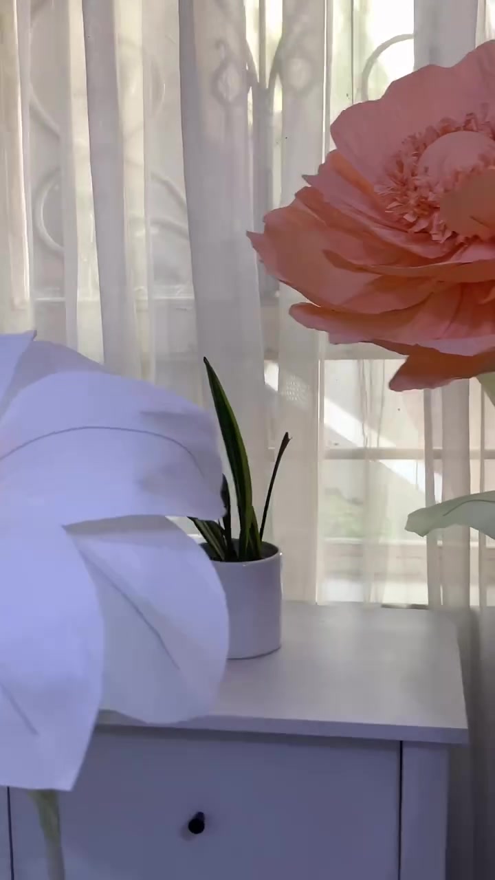 ورد عملاقه بكافه الالوان والاحجام والاشكال  للطلب مراسله على الخاص  نورونا  بالانستا 
https://www.instagram.com/organza_d1?igsh=MXNma3ZldGwwYzI0OA%3D%3D&utm_source=qr


**إذا كنت صاحب هذا الإعلان وتريد حذفه لأي سبب، رجاءا أرسل رسالة إلى الدعم الفني**