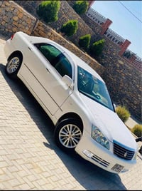 شاهين رويال • ابيض • داخل اصفر