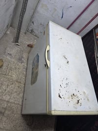 مجمدات • شرط التجميد • العماره ميسان
