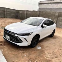 جن بلاص • ٢٠٢٥ • رقم اربيل