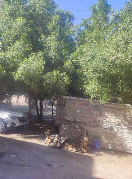 سلام عليكم بيت البيع حي وفاء مساحه ١٢٠ يحتوي عل ٥ غرف نوم ستقبال مطبخ صاله  طبقين ونص سعر ١٤٥ وبي مجال ستفسار مكتب بركات ام بنين ***********
