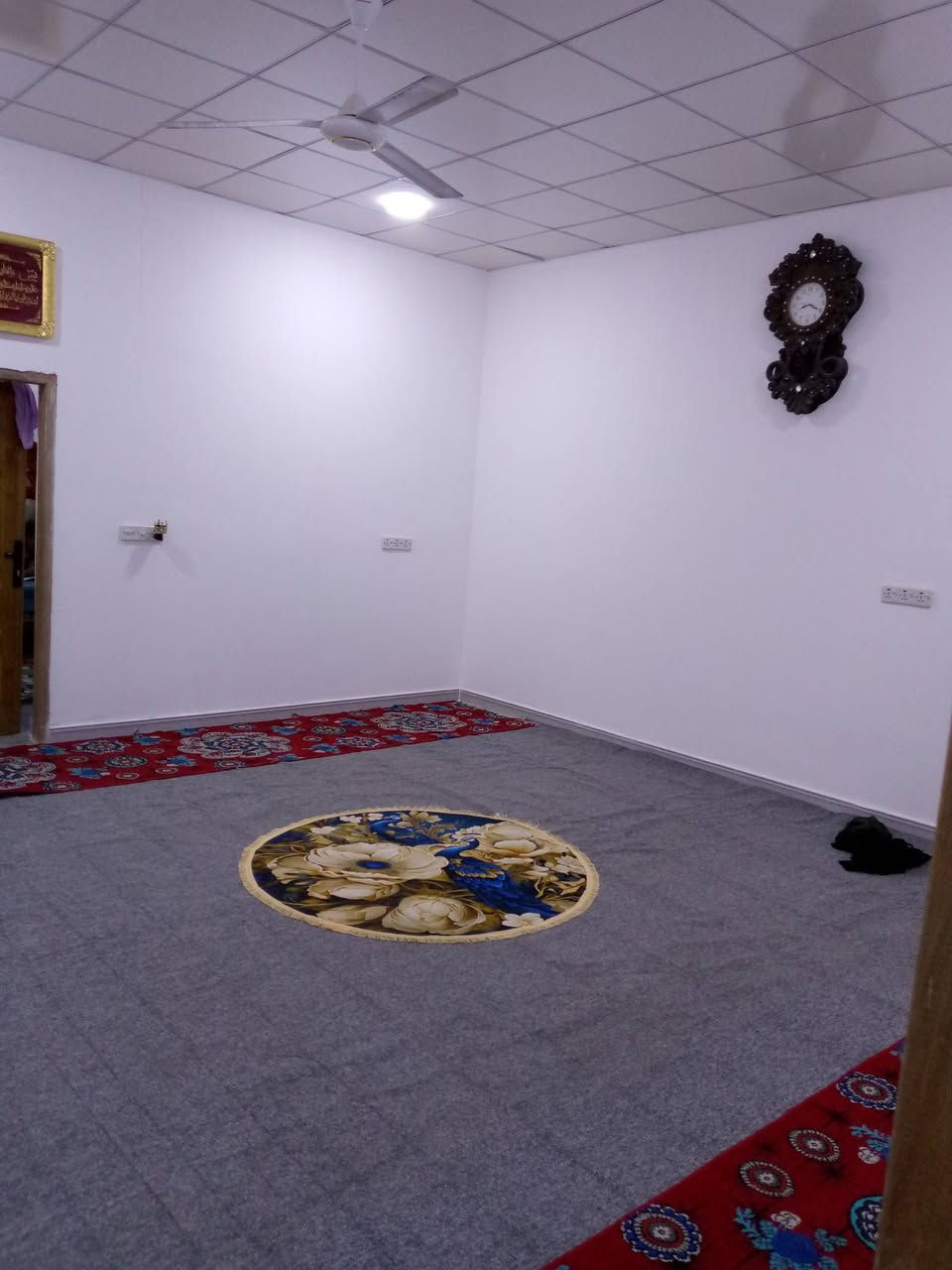 سلام عليكم 1000.  الف متر للبيع مسيج مع بيت حديث مرتب بلدواجن الشراي يخابر ويدلل ***********  ملاحظه البيت كلش حلو متعوب عليه
