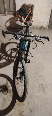 بوم الشام قرب القوس • مقاس ٢٧ ونص • ماركة مجهولة