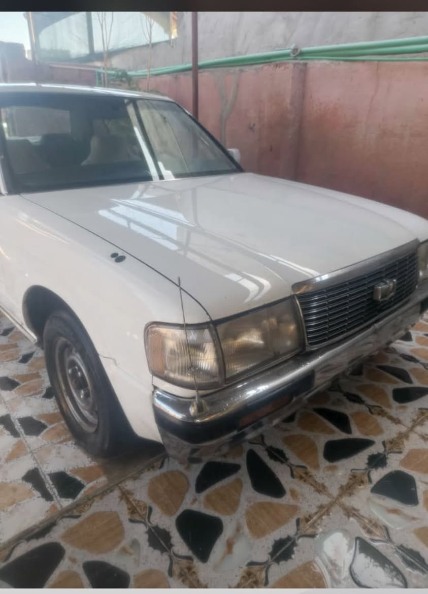 السلام وعليكم ارنب كراون موديل 96 رقم نجف راعيها يمي مكينه فيفيتي كفاله عامه كص ونقل وضربه حداده كامله تخم تاير العنوان الزبير دواجن مكلف بنشر ***********
