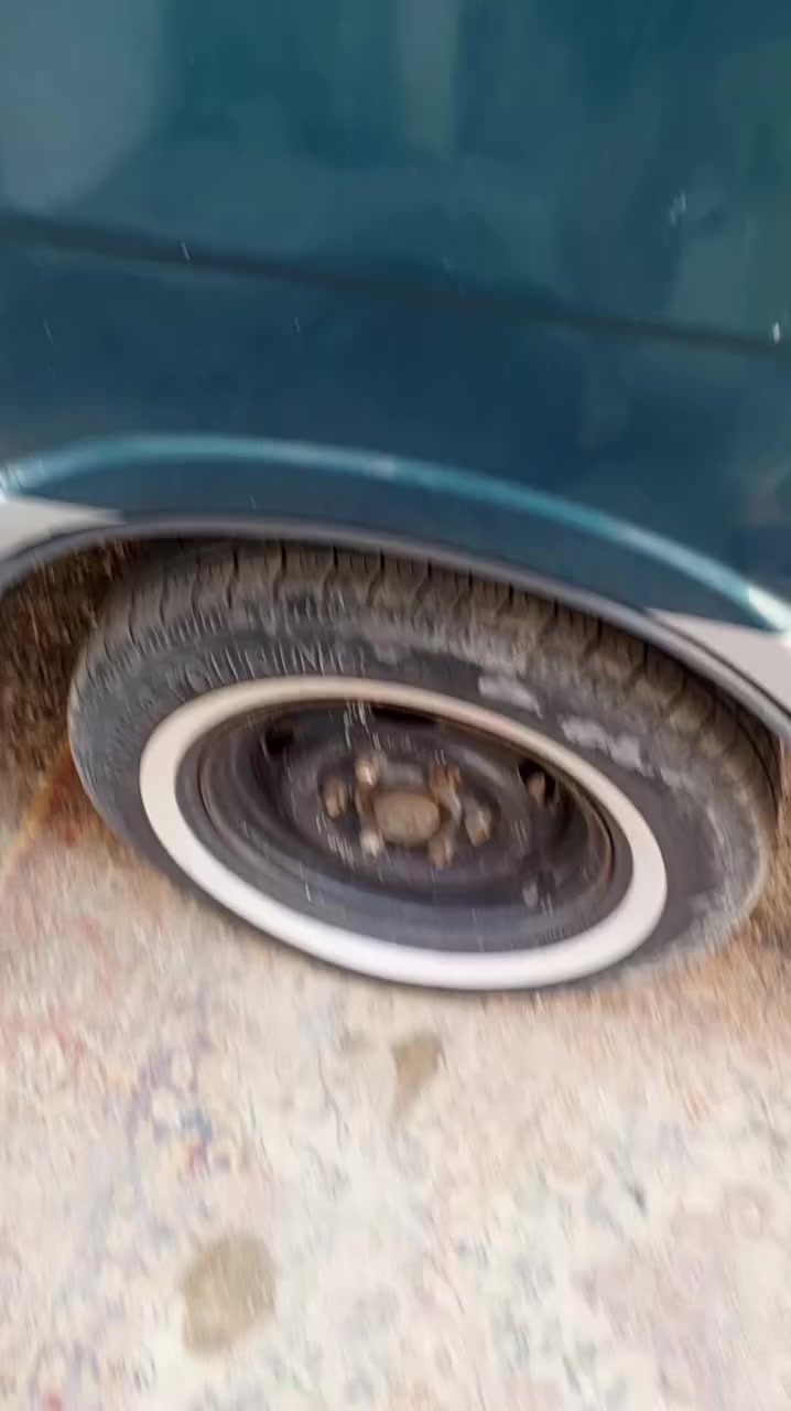 التفاصيل بل فيديو ***********
