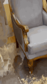 #السلام_عليكم #اخواني🛋️ الاعزاء اليوم جايكم من عملي البسيط واتمنى ان ينال اعجابكم هاي  او هذا الديوان الملكي بدنا بس قماش مع الصبغ والترميع وهذا عملي امام عيونكم قبل العمل وبعد العمل وانا جاي اشتغل قدامكم وعلى راسي وهاي ارقام اللي يحب يتواصل معي
#🛋️
*********** 
***********
العنوان صلاح الدين شرقاط  القصبه شارع النجارين المكصبه  القديمه  وهذا رقمي اذا ما كدرتو توصلولي عن قريب ادليكم عالطريق
