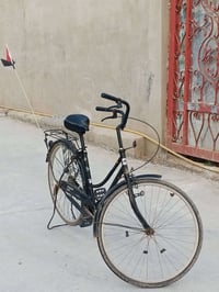 باسكل • نضيف • قابل تفاوض