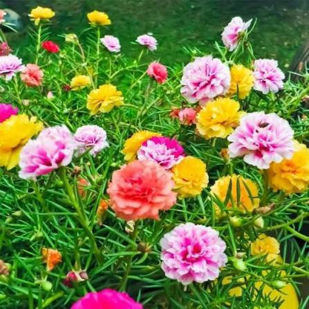 السلام عليكم متوفره اقلام ورد الصباح 💐 مجاناً الي يريد يجي وبخدمته


**إذا كنت صاحب هذا الإعلان وتريد حذفه لأي سبب، رجاءا أرسل رسالة إلى الدعم الفني**