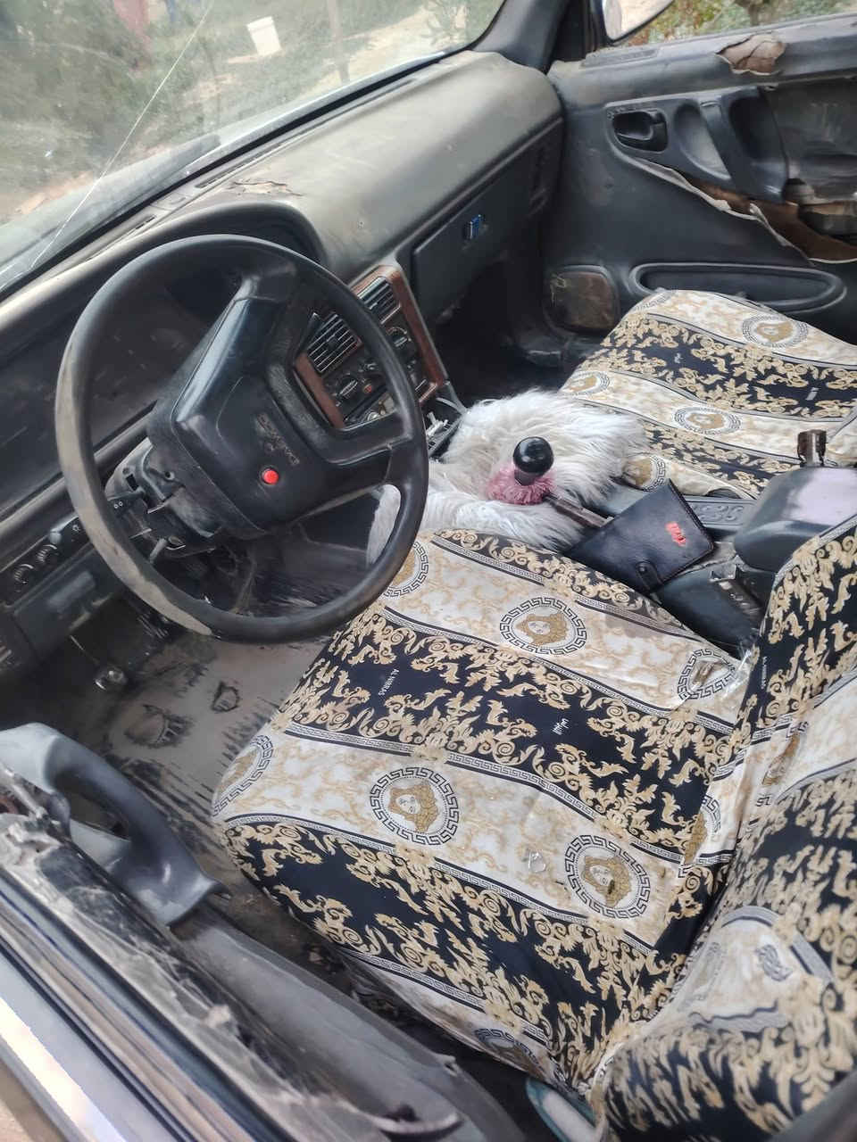 برنس 1995 سياره صبغ جديد وتعمير جديد. سنويه 2027 مصفره من الغرامات  كير محرك. بالجيس تخم تاير رقم كربلاء تحويل شوكت متريد. 25 وبيه مجال


**إذا كنت صاحب هذا الإعلان وتريد حذفه لأي سبب، رجاءا أرسل رسالة إلى الدعم الفني**