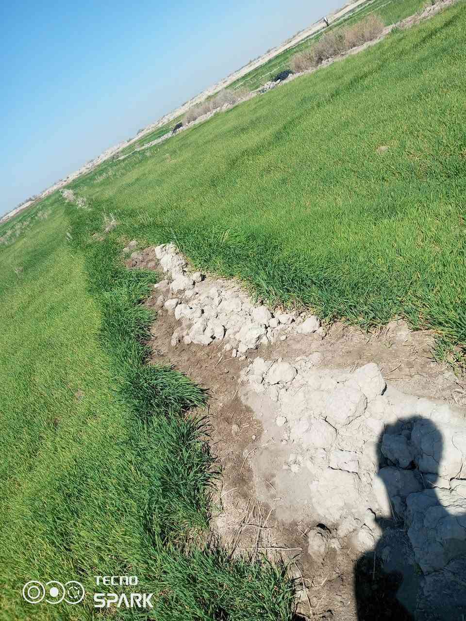 دغل للبيع 20دونم للاستفسار على ***********
