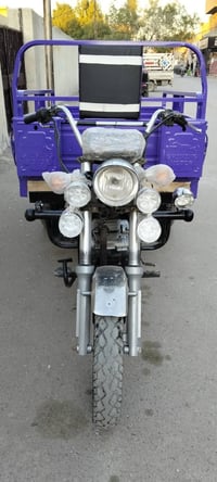 ستوتة صقر • موديل 2023 • أوراق اصولية