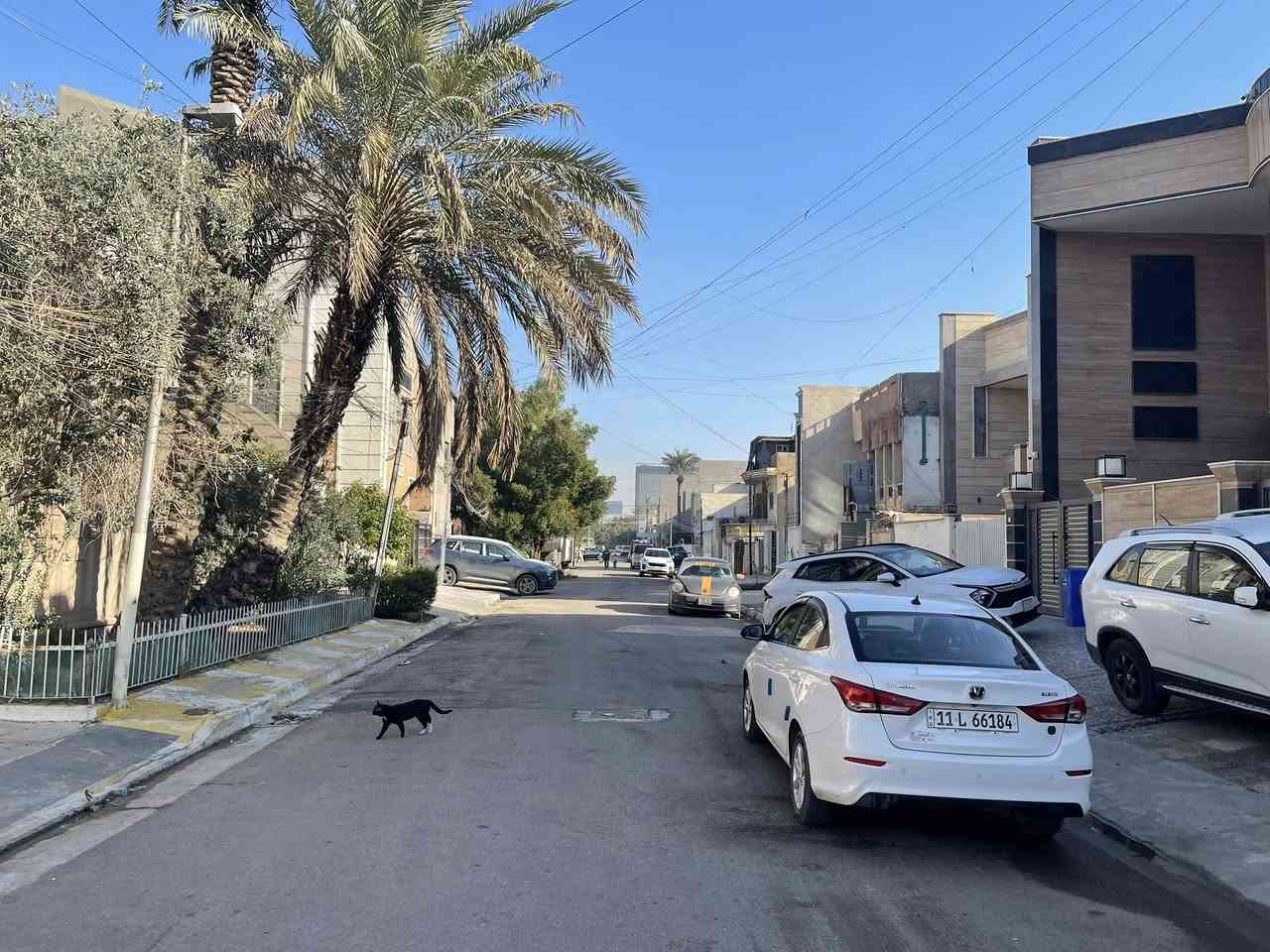 للبيع دار مودرن بناء 2023 فول درجه اولى مدخلين المساحه 150 متر الواجهه 5 متر والنزال 30 متر ارتفاع السقف 3,60 متر مرمر من الكراج للسطح يحتوي الطابق الأرضي على كراج واستقبال ومطبخ وهول حولي والمنور جام ضد الرصاص مسوينه مطبخ حار وصحيات وغرفة نوم سويت والطابق الثاني ثلاث غرف نوم ثنين اكبار وسويت والغرفه الثالثه صغيره مال اطفال وبيتونه وسطح
الموقع شارع فلسطين محله 503 النيل مدخل التربيه مقابل صالون اربدو ثاني فرع عاليمين خلف أسواق تفاحه 

للاتصال *********** او *********** شركة الخيمه للعقار السعر عالخاص او مراسلة عالواتساب والماسنجر
