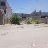 الانتصار • زراعي • ٢٨٧م