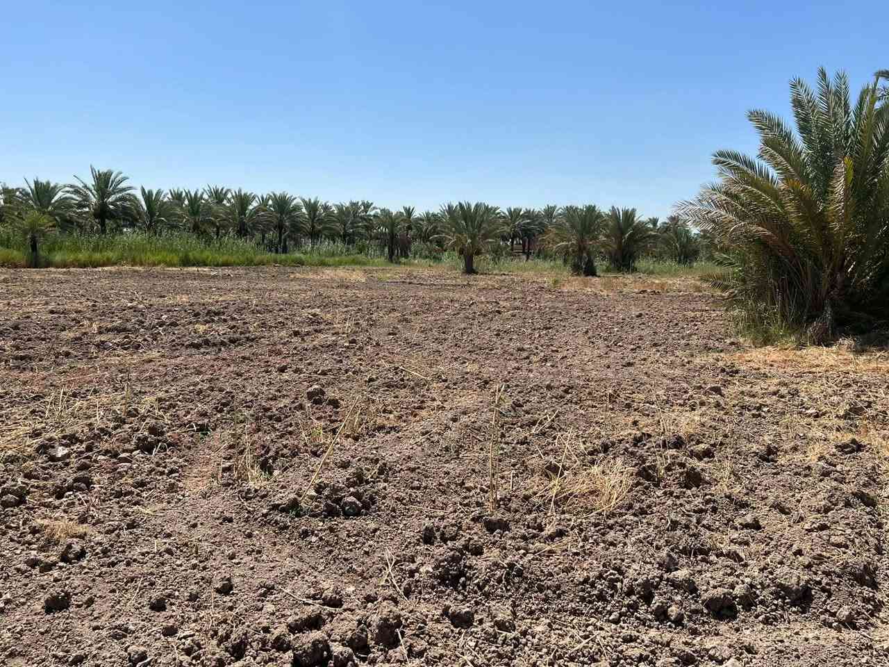 الهم صل على محمد وآل محمد 
أرض للبيع مساحة 3 دونم طابو زراعي صرف ( طابو صرف ) خدمات كاملة تبعد عن الشارع 80 متر

الموقع / شارع سدة محاويل
/ الشمامرة / أراضي الناصرية / مقابيل مدرسة العوفي الابتدائية 

لتفاصيل أكثر
 ***********
***********
