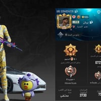 بصره حيانيه • الكترونيات