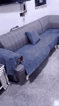 السلام عليكم تخم جديد ١٥ مقعد السعر ٤٥٠ بغداد الإعلام للاستفسار خاص او الاتصال على الرقم *********** واتساب
