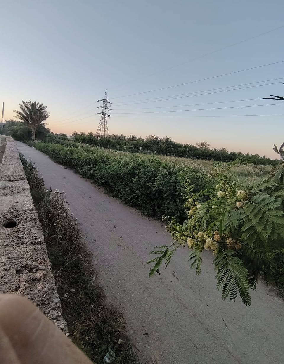 السلام عليكم

قطعه للبيع القطعه صايره ركن  في عرب فرج 

  العرض اكثر من (14 م) والطول اكثر من (35 م)

للستفسار أتصل  ***********
