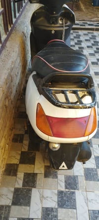 سبيسي ياباني • كله شغاله • زين القوس