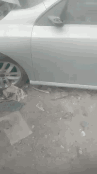 رينو سافران موديل 2012 السياره جاهزه من كلشي السياره ضربه مابيه تروح تفحص فقط الدعاميه وطك اريباك السياره صبغ عام جديد دومشه جديده وبعدهي يم الدوشمجي  مستعجل علئ بيعتهه    السعر 45

 ***********
