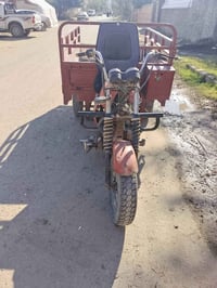 ستوته • شغاله • أوراق