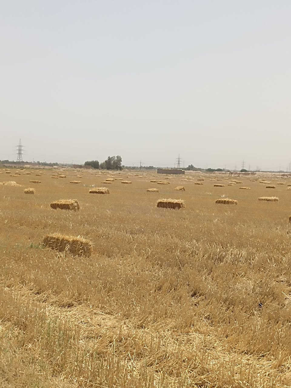 كبسات للبيع ***********
