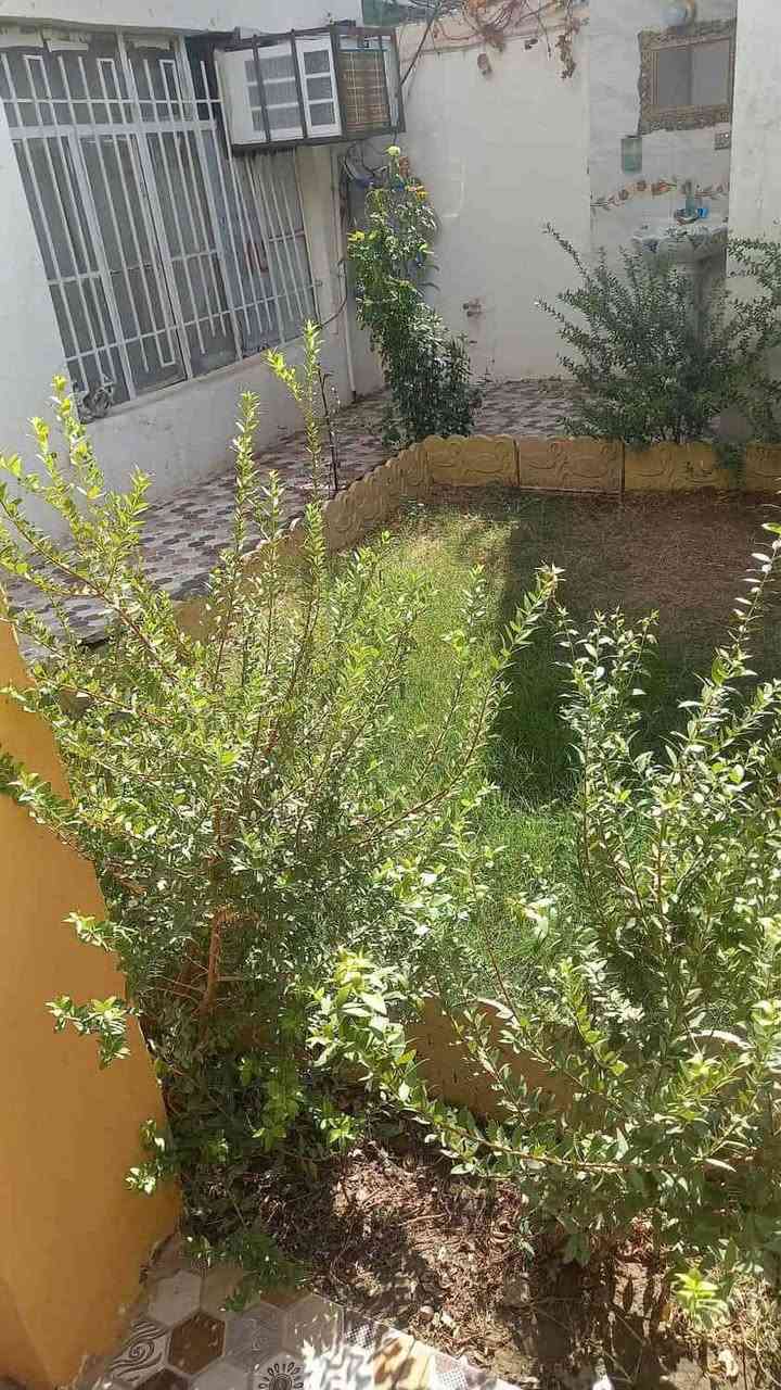 الانبار فلوجه  
 دار للبيع الجغيفي الاولئ خلف مدرسة المجد المساحه ٢٠٠ طابق واحد غرفتين وهول مطبخ كراج حديقه واستقبال 
السعر ١٦٠ بي مجال للاستفسار 
*********** واتساب 
*********** واتساب 
***********
