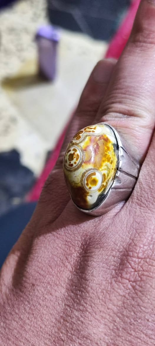 داودي حجر وصياغة قديم .... التفاصيل خاص


**إذا كنت صاحب هذا الإعلان وتريد حذفه لأي سبب، رجاءا أرسل رسالة إلى الدعم الفني**