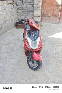 سكنس فحل • كامله • سلف