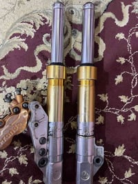 دبلات سكنس • نضاف • بدون الفج