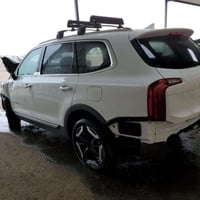 تيلورايد S • ٢٠٢٥ • مصلح