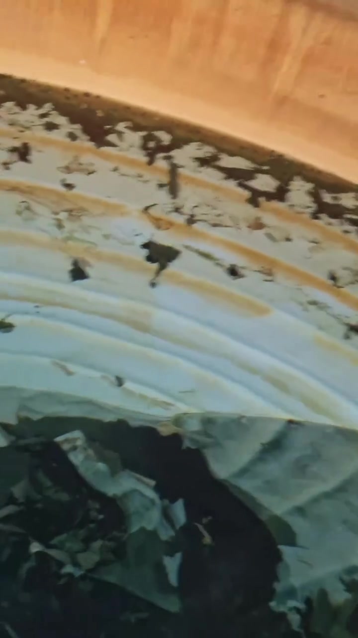 حافظ على صحة عائلتك و على انابيب و أجهزة منزلك
توفر لدنيا فلاتر رملية
فوائدة :
1- ازالة الاطيان الاتربة
2- ازالة الطفيليات و الكائنات النهرية الدقيقة
3- عدم تلف انابيب الاسالة
4- عدم توسخ خزان الماء بالطين الاتربة
حافظ على انابيب منزلك و الخزان من خلال شراء فلتر الماء
للطلب والاستفسار التواصل مع الرقم التالي
*********** 
عنواننا : قضاء المدينة / شارع مستشفى بشاوي / مقابيل اعدادية علي ابن ابي طالب
يوجد لدينا توصيل
تخلص من الاتربة و الاطيان و الروائح التي تعمل على تخريب خزان الماء و ملئ السخان بالاطيان التي تؤدي الى ثقبه و تعطيله.
