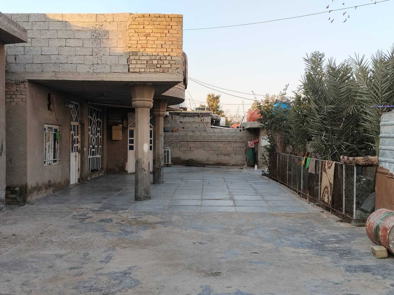 السلام عليكم تلاث بيوت للبيع مساحه 700 متر/تفاصيل أكثر والسعر لاتصال ع رقم *********** مكان دوام  بين شارع عشرين وشارع الثلاجات 👈🏻ملاحضه ينباعن سوه👉🏻
