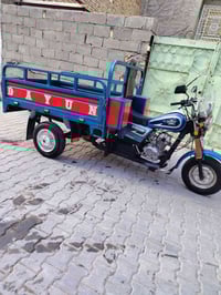 ستوته • موديل 21 • كوت